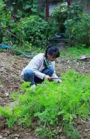 千年古城大美江西,千年古城美景