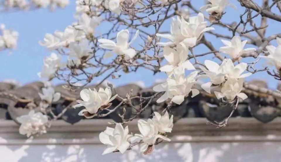 财字意味着什么,财字的毛笔写法