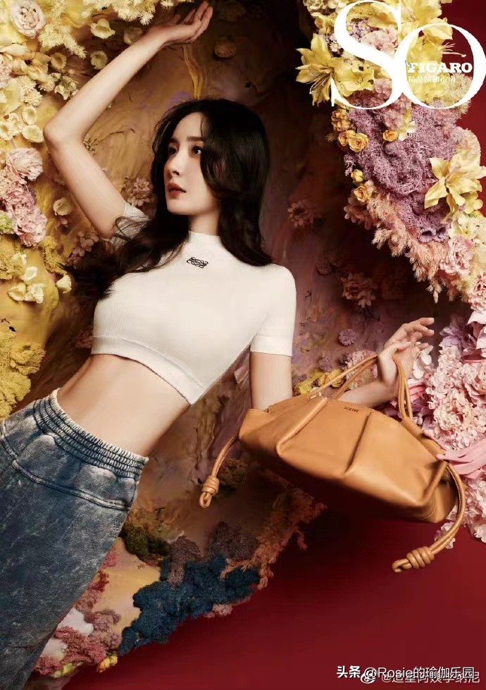 杨幂马甲线训练法,杨幂把小肚腩练成了马甲线