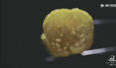 鲁迅先生书里的小吃,鲁迅先生吃过的美食