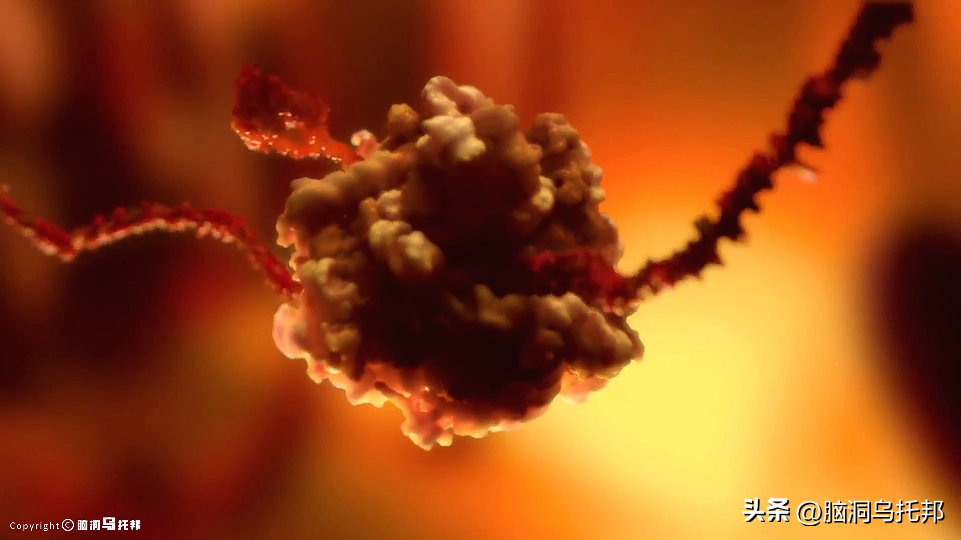 无症状感染是因为体质差吗,为什么有的人感染症状轻