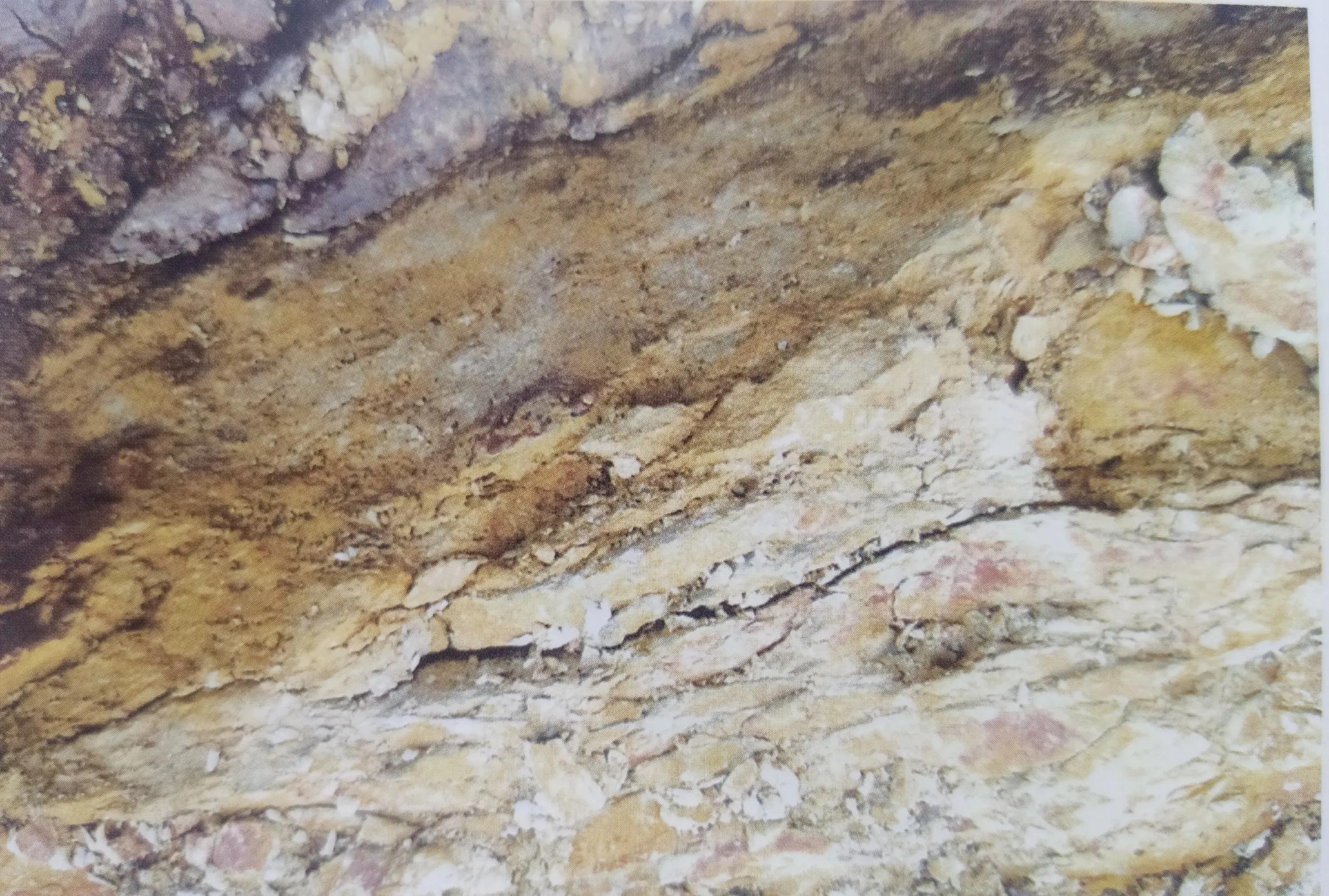 黄龙山朱泥和赵庄朱泥哪个更红艳,朱泥大红袍颜色很红艳吗