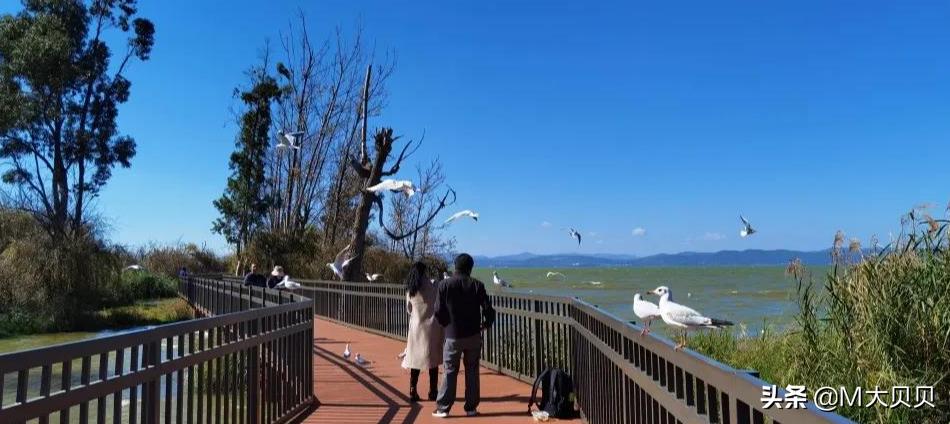 云南昆明市城市介绍,昆明辖区城市有哪些