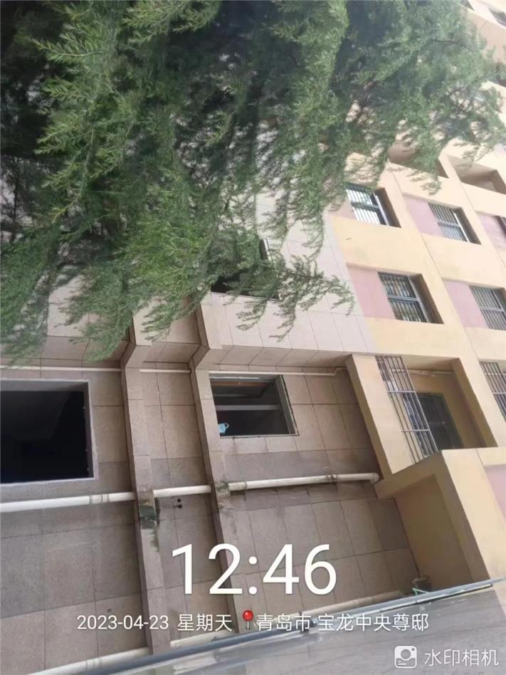 即墨宝龙中央尊邸物业,即墨宝龙中央尊邸治理