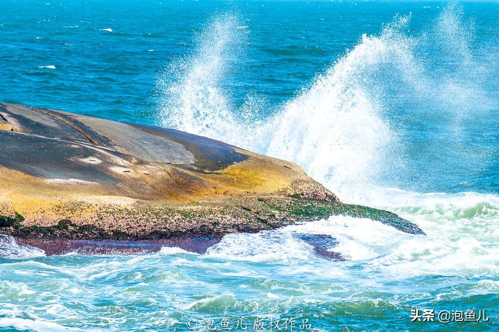襄阳成人高考作文必背十篇,襄阳四中五中2020高考作文