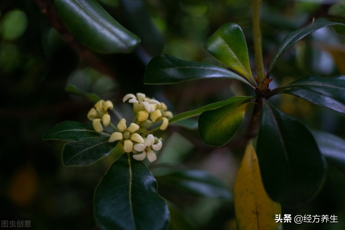 巧合还是天意？几年前治愈的精神病案例反馈到今天的病例上