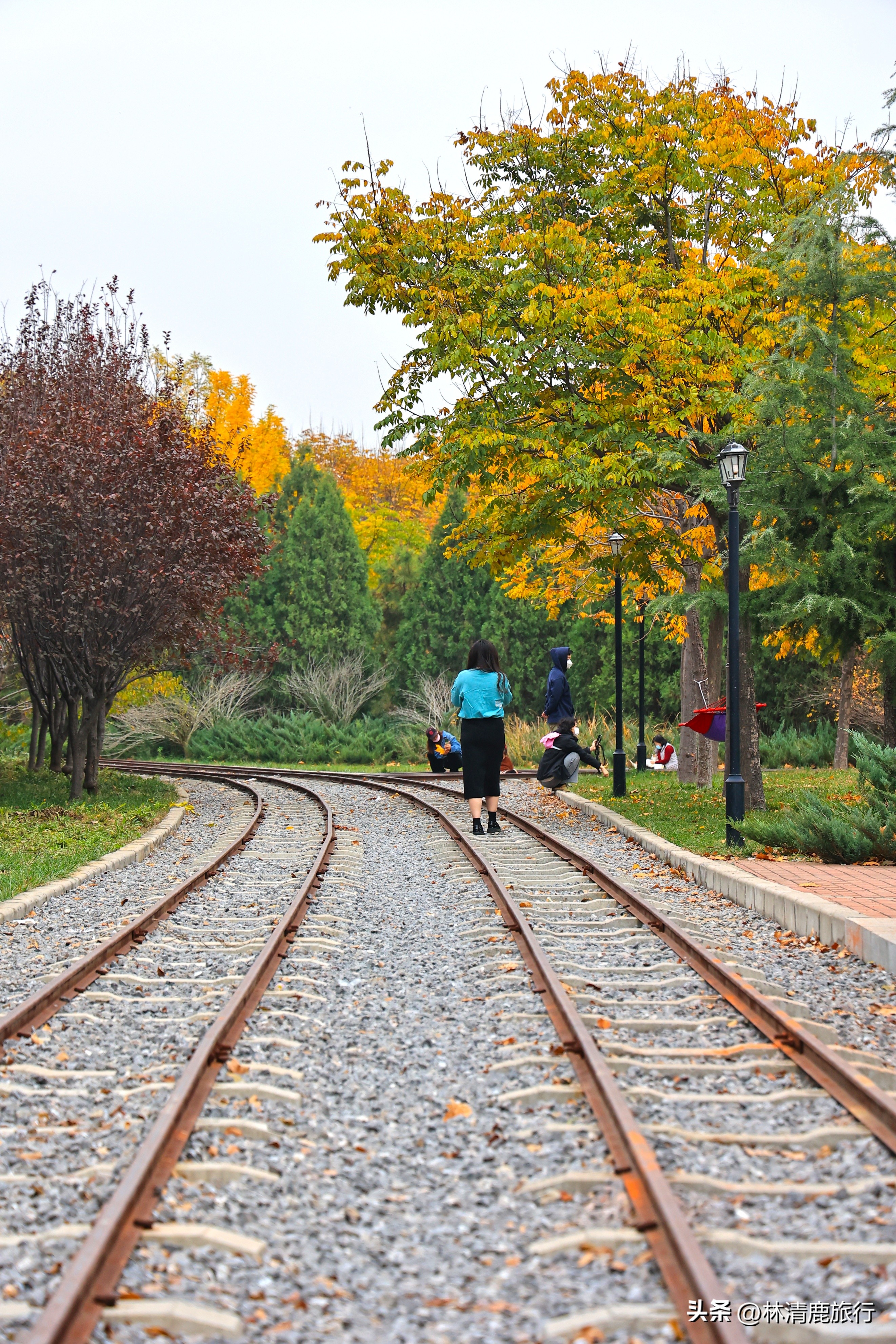 郑州哪个公园有火车,郑州有铁轨的公园