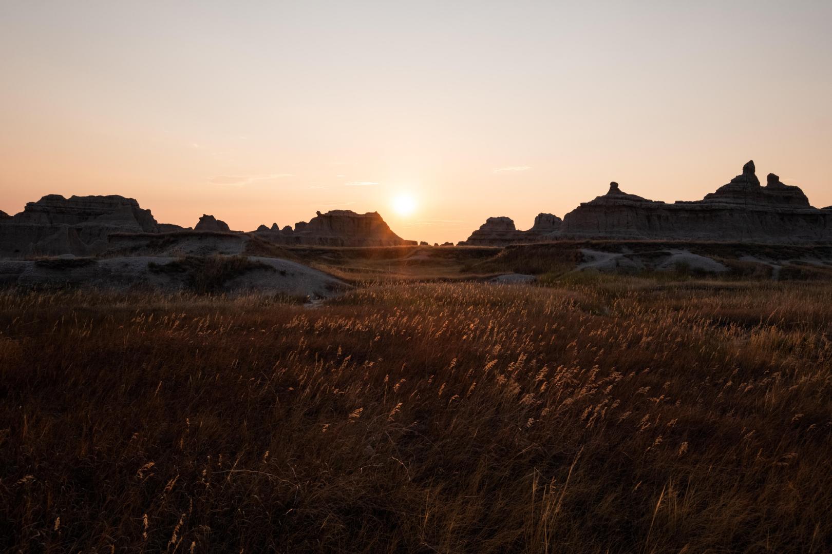 字节跳动的真实工作体验,字节工作真实感受