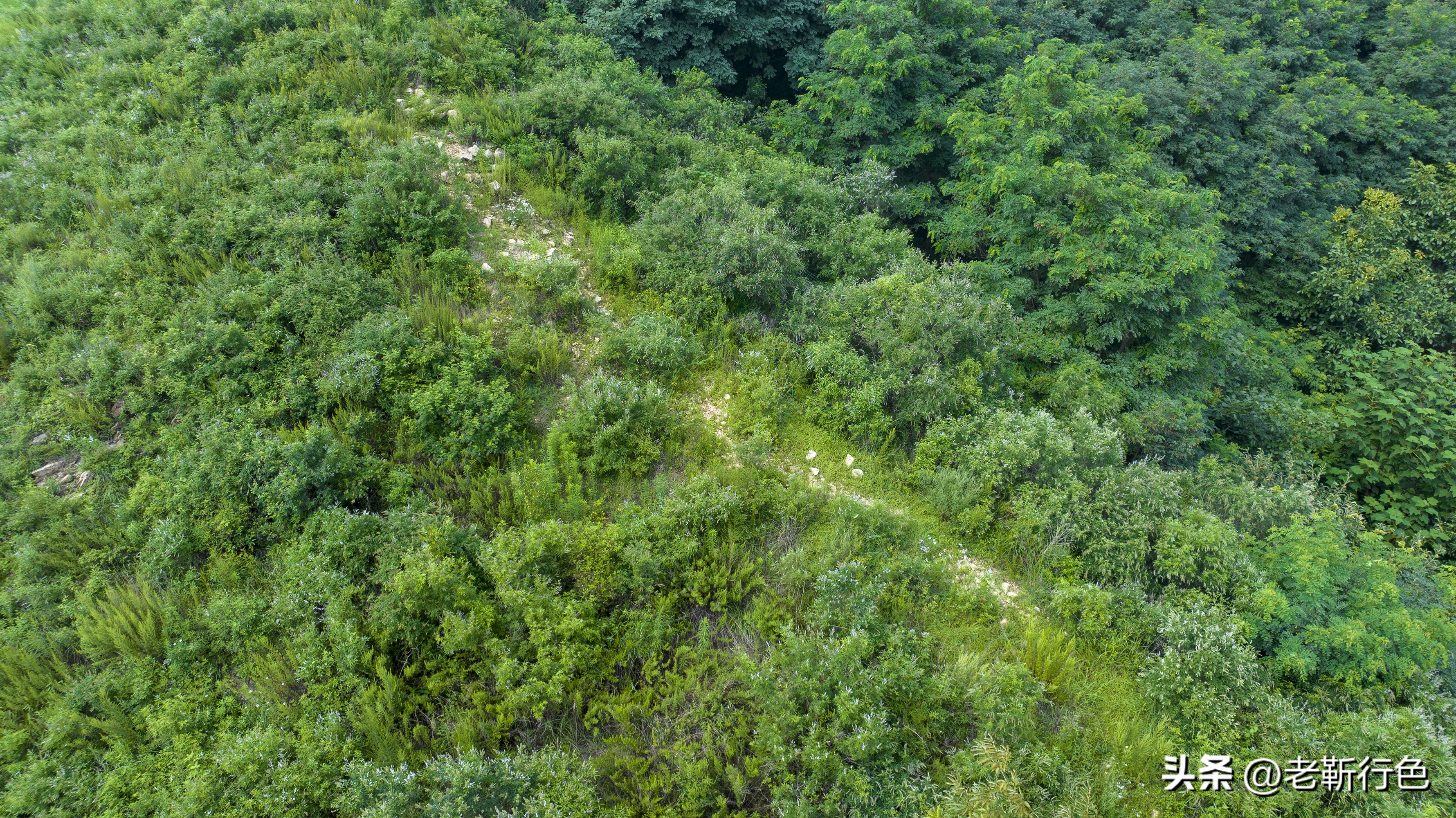 长城岭上齐长城，长城岭下避难所，探寻齐长城梯子山-天马顶段