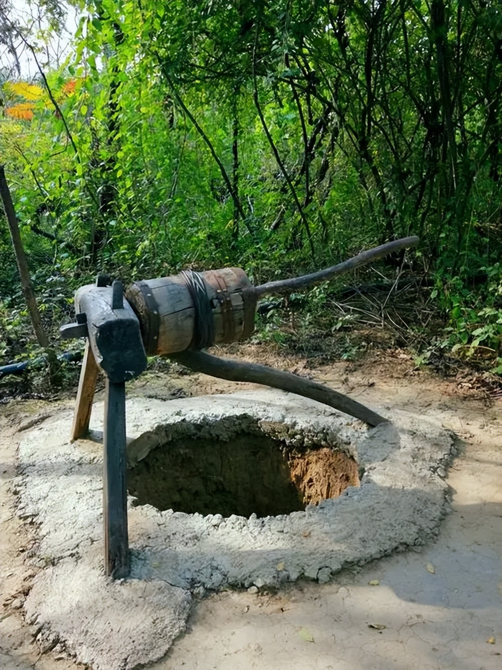 山东滨州医生事件,滨州医生被抓