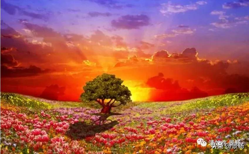 自己只管努力其他一切顺其自然,你只管做自己一切都是最好的安排