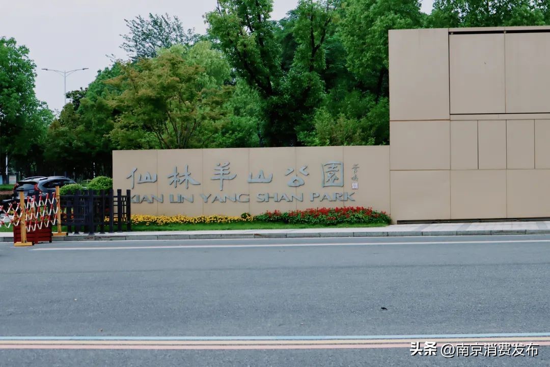 南京citywalk指南,南京12月份citywalk