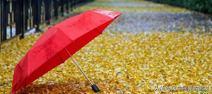 一天学一个成语一年级,一天学一个二字古词