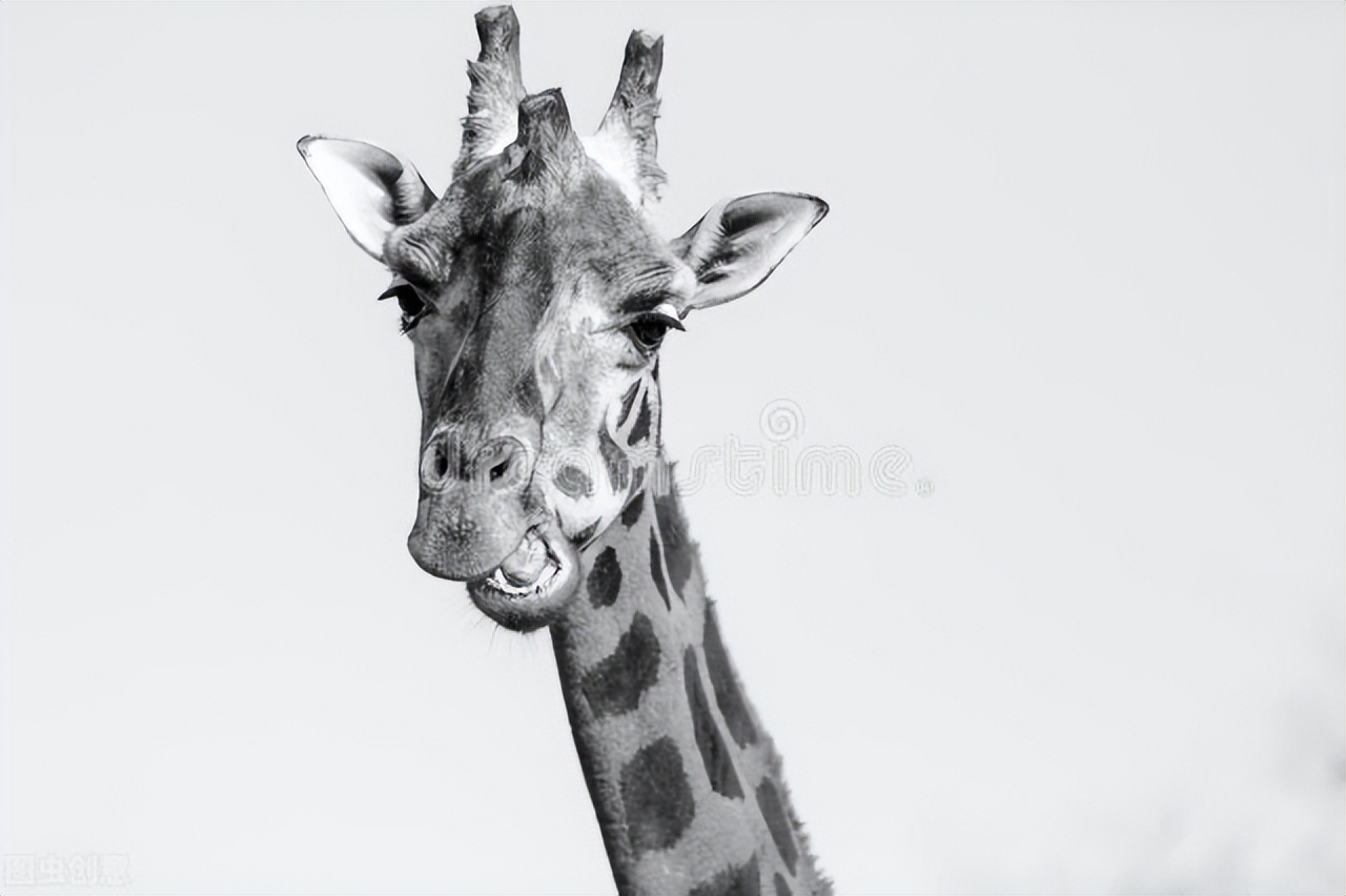 身体变瘦的8种征兆,身体变瘦的七个征兆抖音