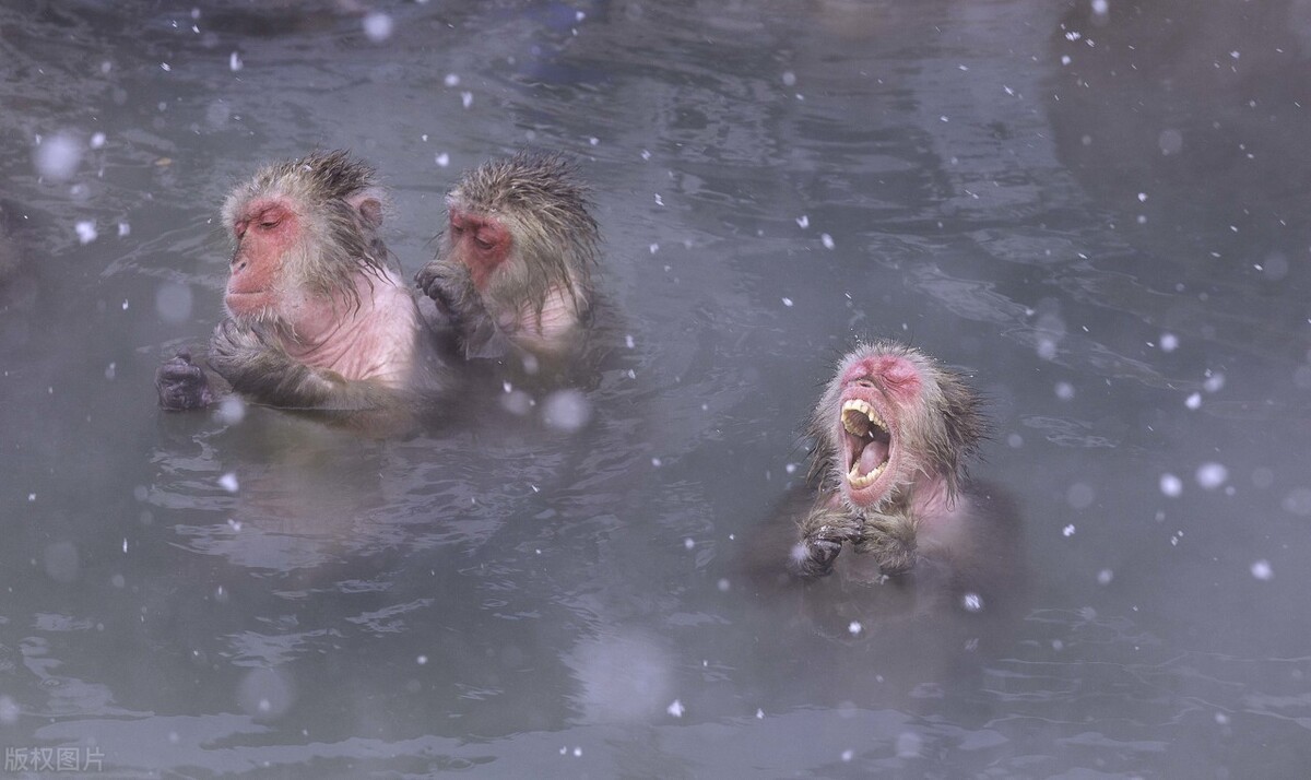 壹邦小知识：空腹能泡温泉吗泡温泉需要穿内衣和*裤内**吗