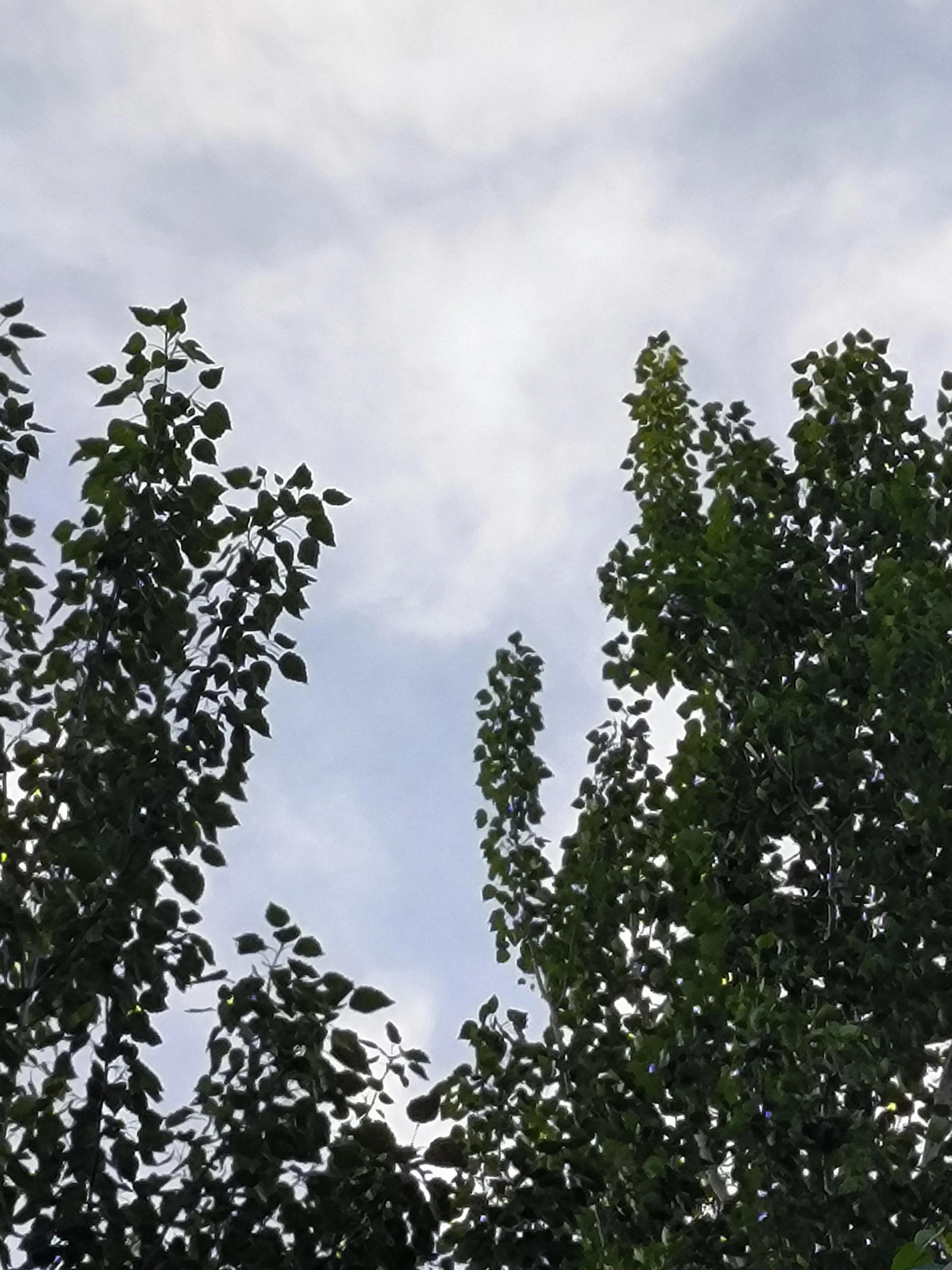 经典七字对联集锦欣赏,经典对联合集大全简单