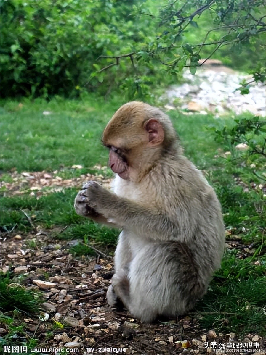 山西孝义土话大全 (山西孝义土话大全集)