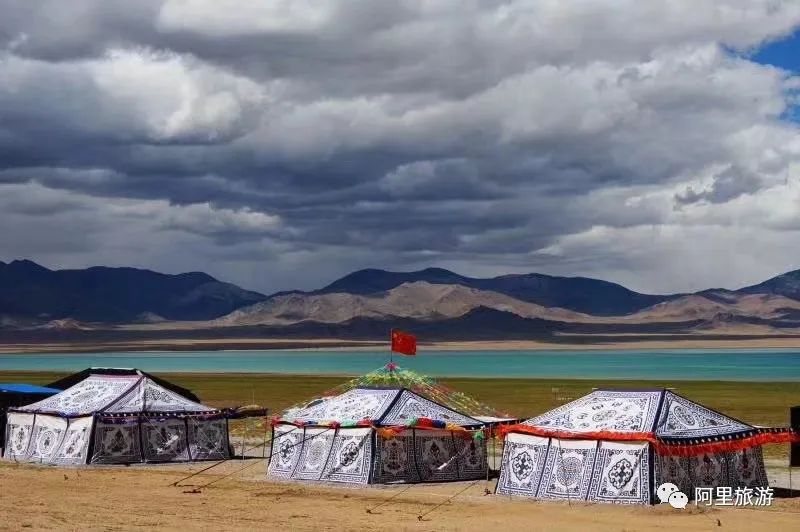 西藏最近很火的大地之树,网红大地之树