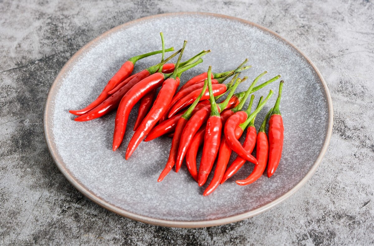 东莞进口汽车报关手续流程,东莞广州正规进口清关