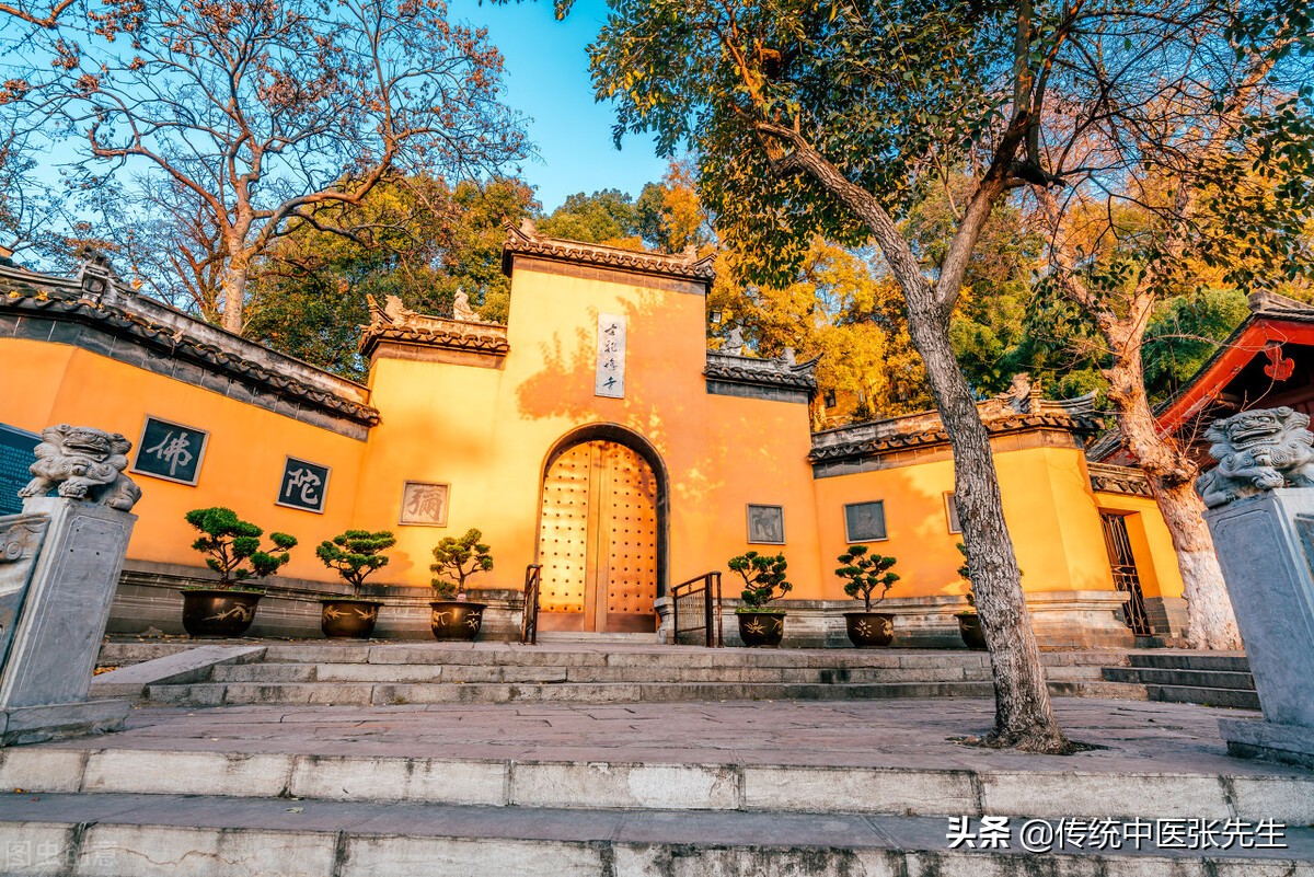 中医治疗小儿癫痫效果怎么样,小孩癫痫中医怎么治疗