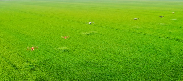 全球气候变化对农业的影响和对策,气候变化对农业生产的影响