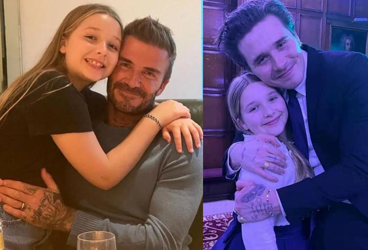 贝小七被宠上天,贝小七成长