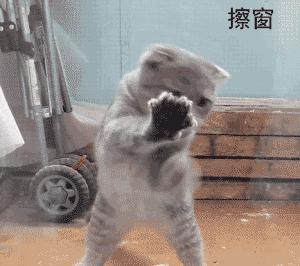 大多数教师使用的电子教鞭软件,教师神器软件推荐