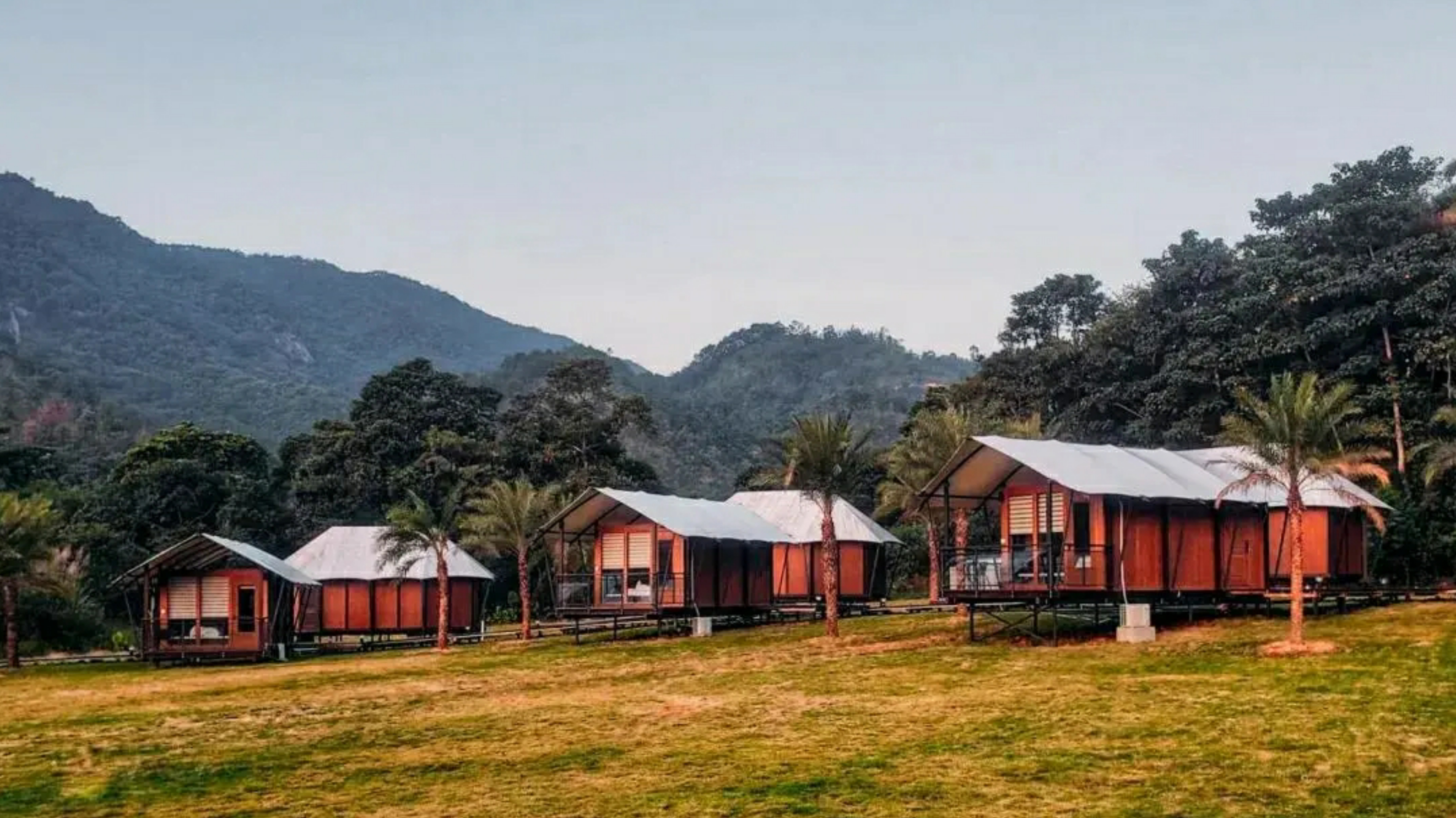 惠州赏梅花地方,惠州惠东梁化镇梅园