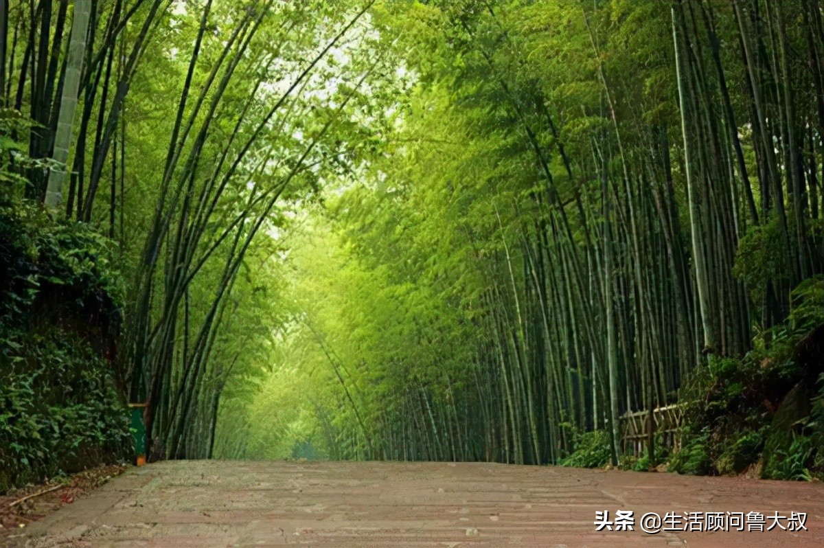 天府之国是该火一把了