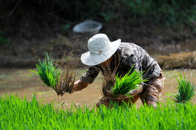 劳动并不能致富,劳动光荣劳动致富