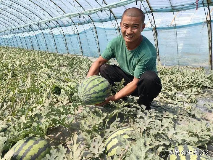 美好生活十年,美好生活最新版