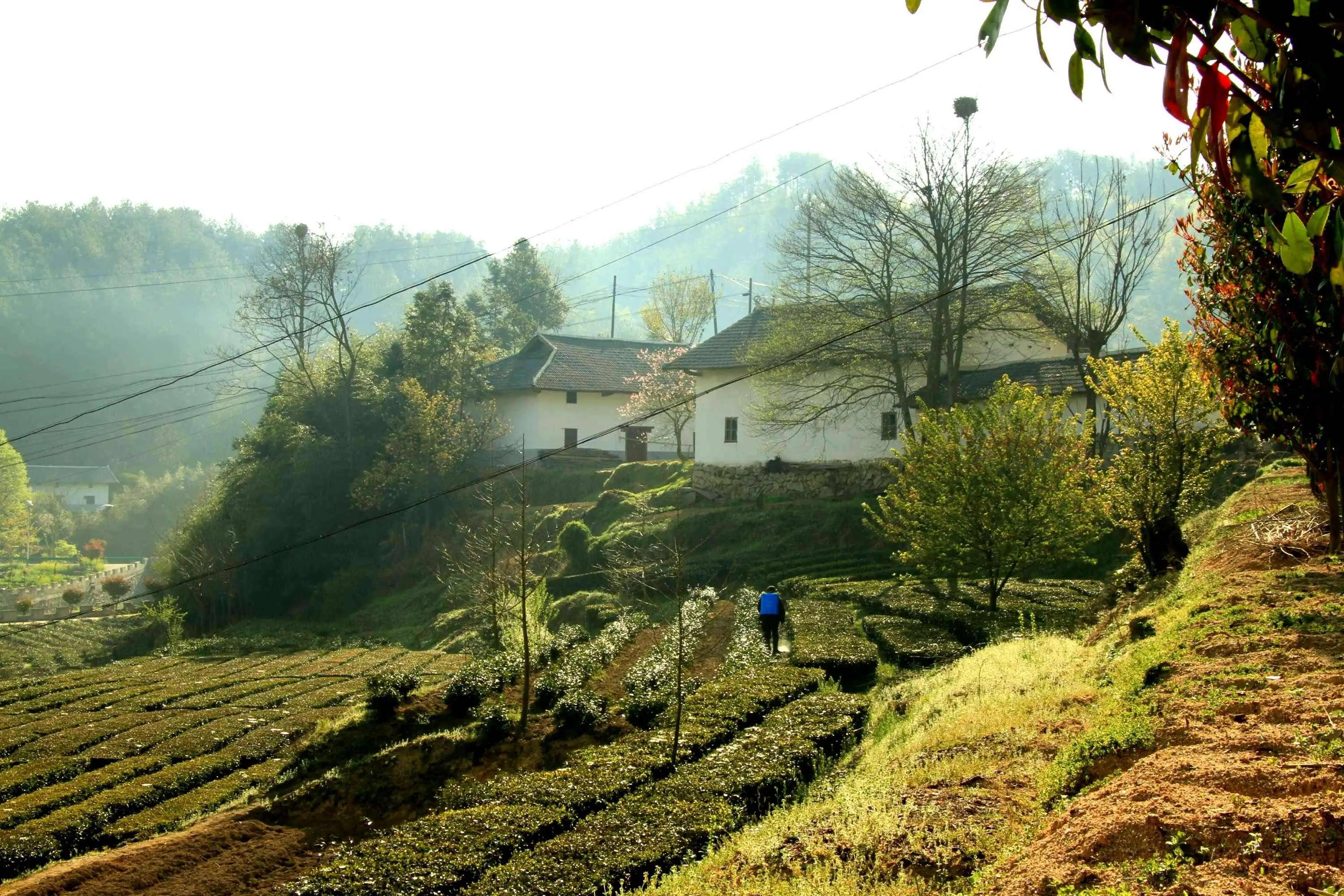 外婆家的小山村，一生的回忆与牵挂