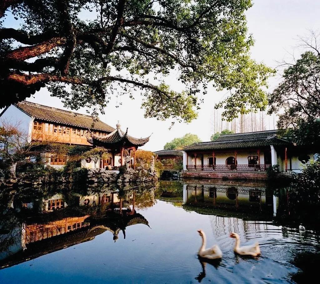 閮簞鍒樺簞,钂嬪簞鍒樺簞