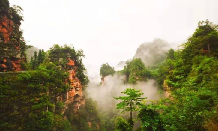 四川雅安周公山避暑旅游景点,四川避暑康养最佳地是哪里