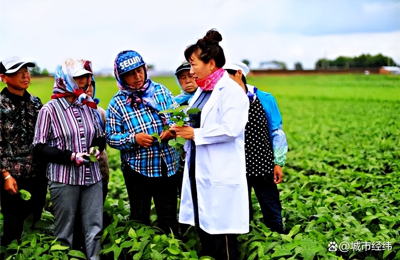 全国产粮大省排名榜,全国各省产粮大省排名
