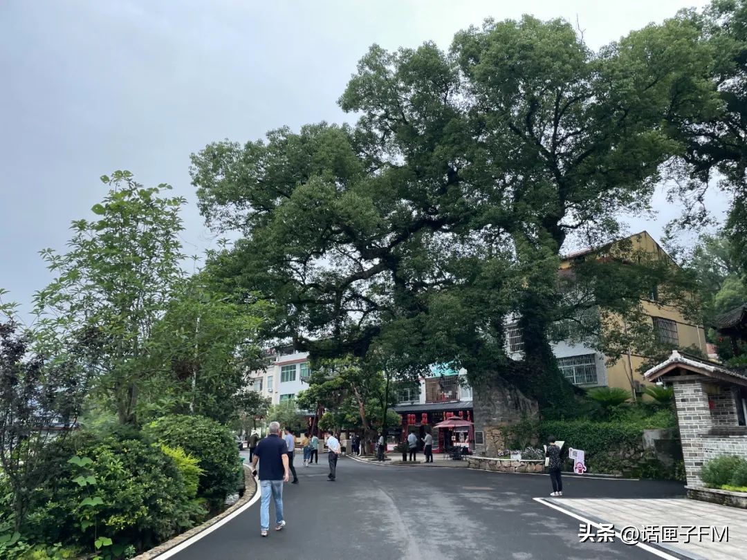 上海首家沙县小吃旗舰店10月开业,“国民小吃”转型升级在沪明合作下步入快车道