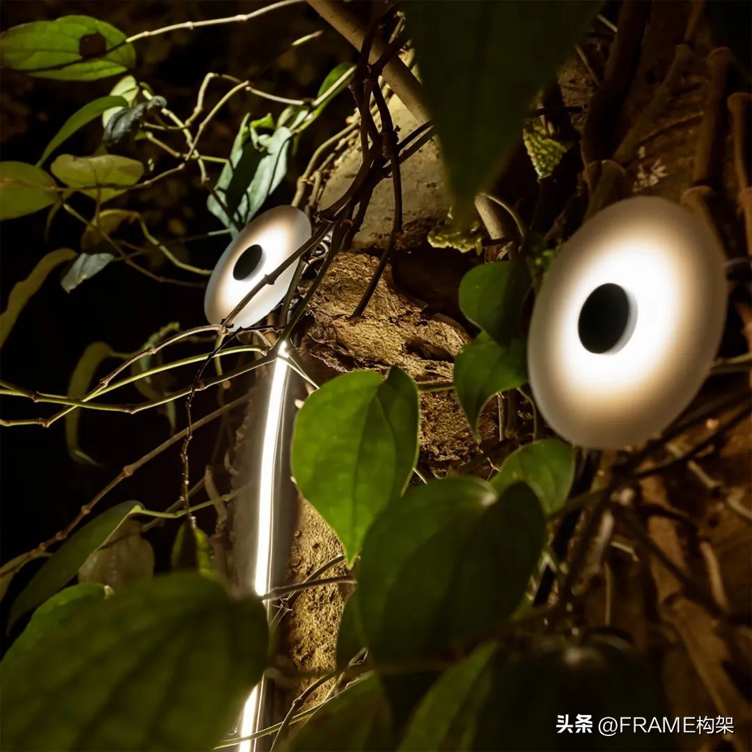 一周最受欢迎|Aesop多伦多体验店、哥伦比亚公寓、日本TreeSays