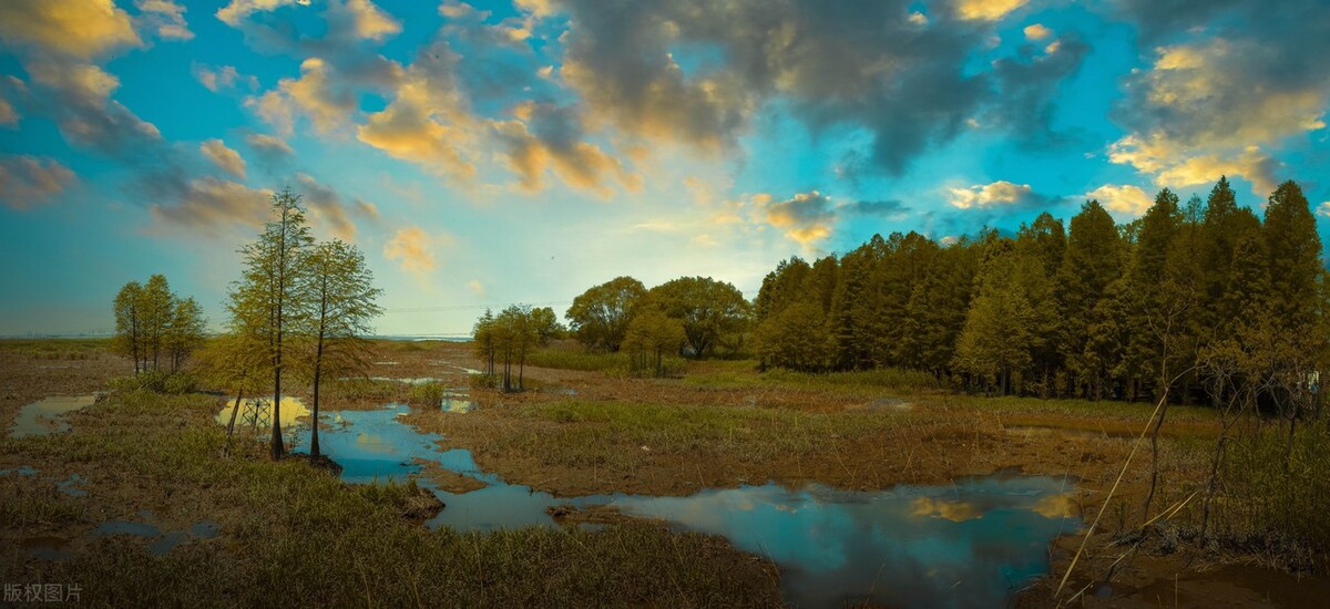 上海欢乐谷必玩十大景点,上海十大必去景点迪士尼