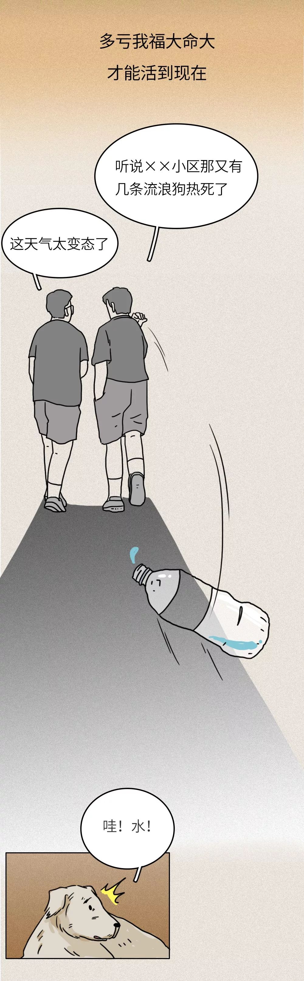 救救我36关怎么过,一只流浪狗自述