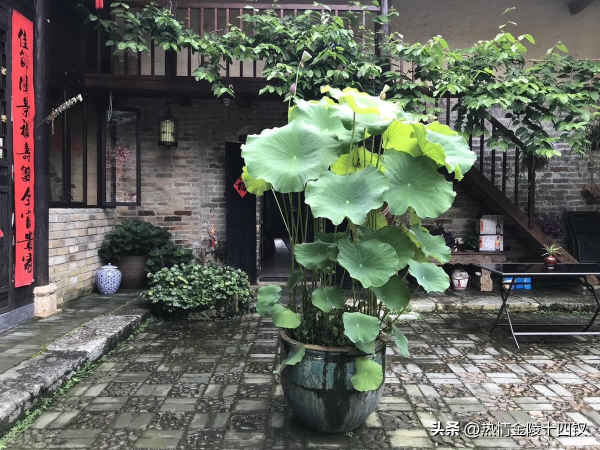 桂林遇龙河一日游最佳攻略,遇龙河竹筏3人漂流攻略