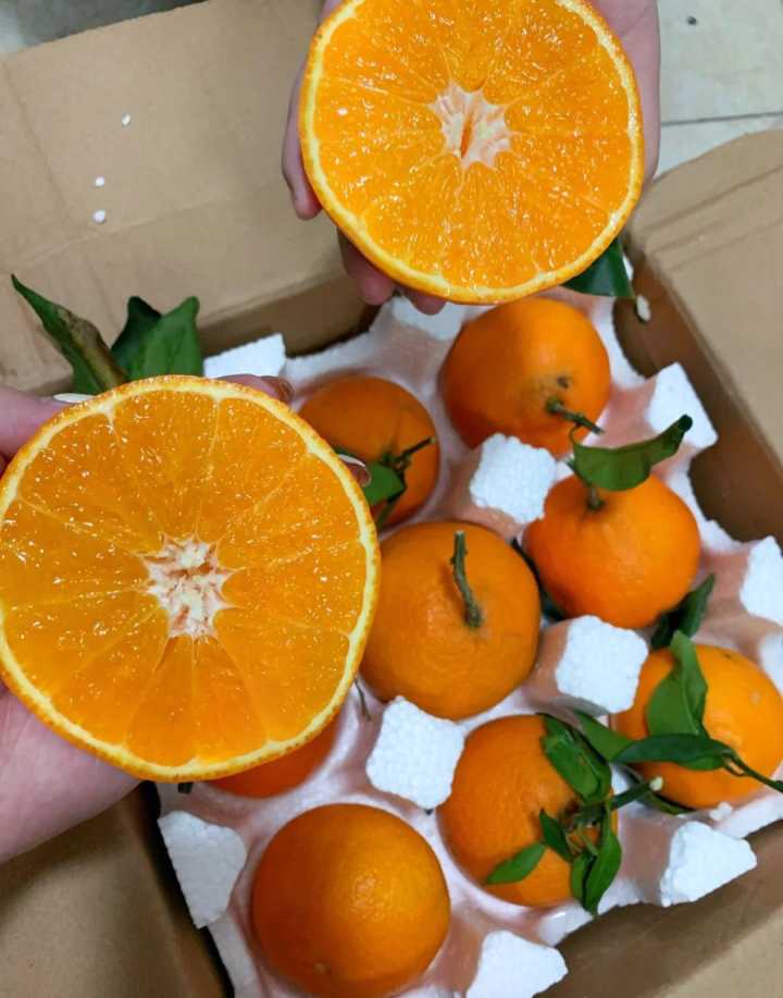 健康养生的零食都有哪些,健康养生零食大全