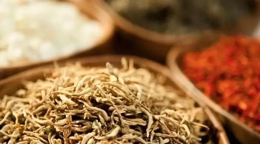 中药概念涨停潮,涨停医药股有哪几个