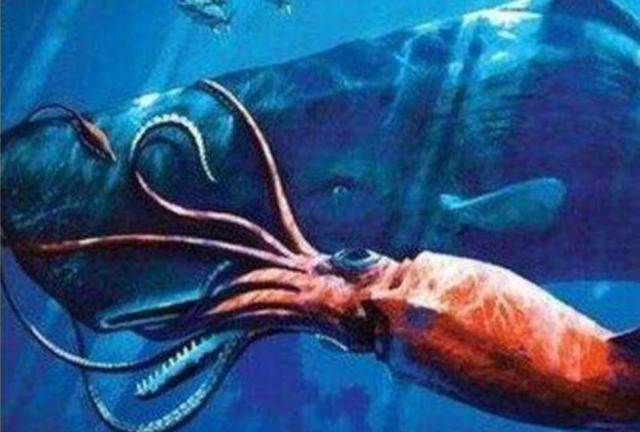 深海的巨型生物比鲸鱼还要大,海里面有比鲸鱼大的生物吗