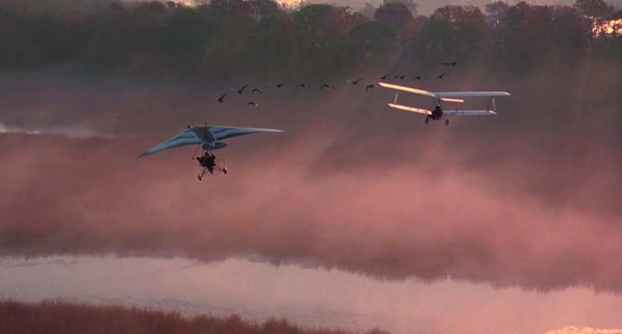 适合儿童假期观看的电影,儿童节就看这十部最好玩的电影