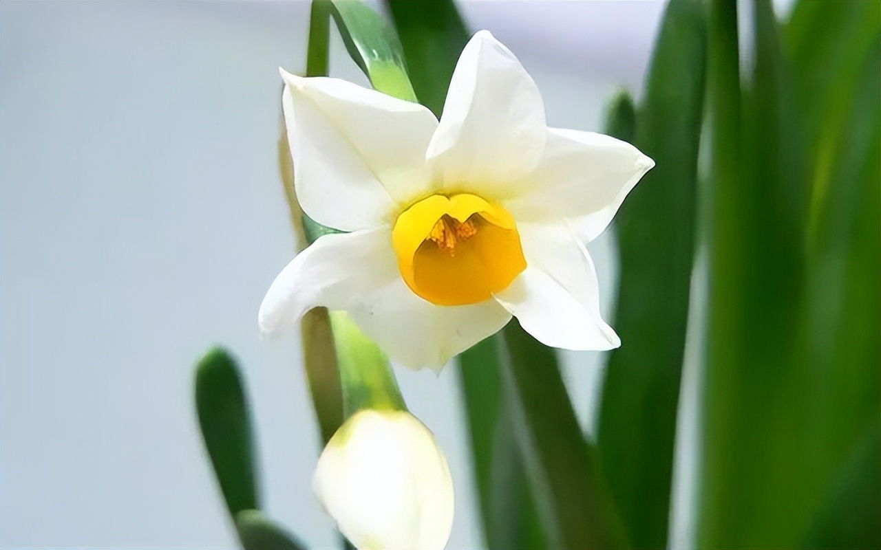 当你一无所有连狗都不搭理你,当你一无所有亲戚的态度