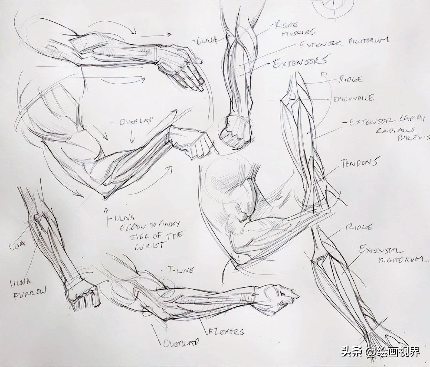 学不会人体画法怎么办,初学者不会画素描