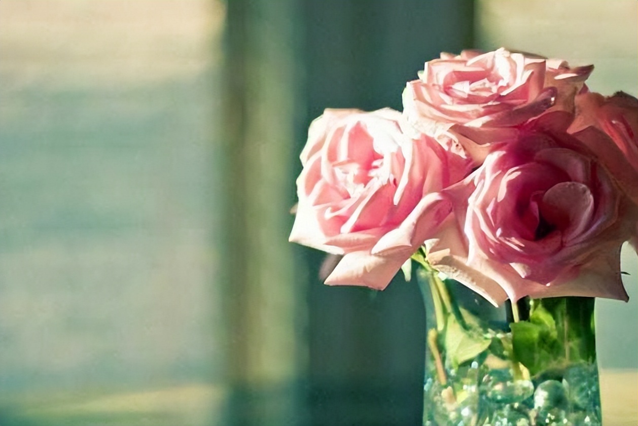 当你很老了,手里没什么钱,儿女也不管你,说明了三个问题