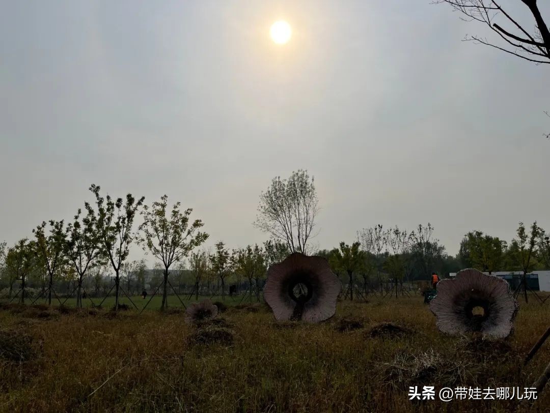 藏在二环的超小众免费公园,免费游玩的小公园