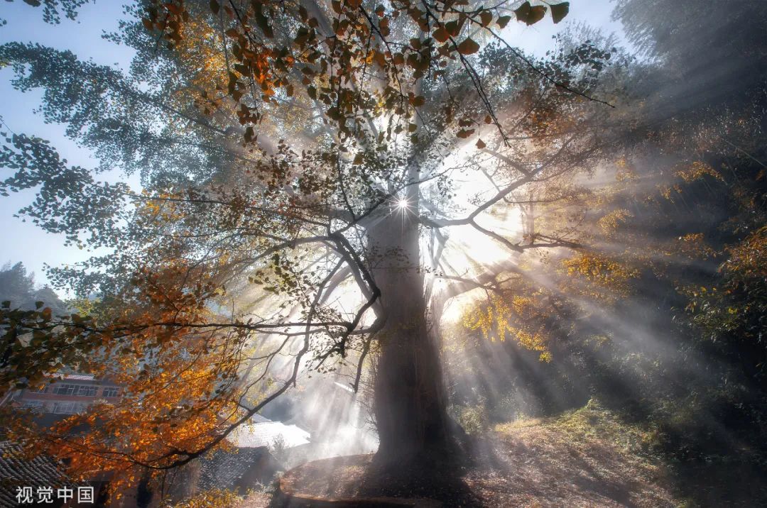 关汉卿最有名的元曲,关汉卿最经典的散曲