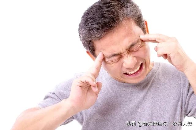 汪清不慎落水,汪清丢牛案始末